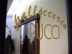 Pellicceria Artigianale Pucci, Faenza orari di apertura