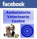 Ambulatorio Veterinario Centro, Torino orari di apertura