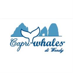 Capri Whales orari di apertura