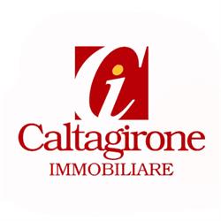 Caltagirone Immobiliare Trapani, orari di apertura