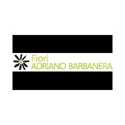 Fiori e Piante Barbanera Narni, Narni Scalo - Orari di apertura