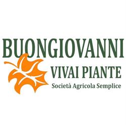 Vivai Piante Buongiovanni, Pistoia orari di apertura