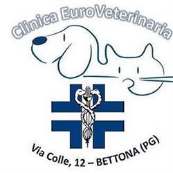 Clinica Euro Veterinaria, Bettona orari di apertura
