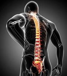 GIMAS fisioterapia - Studio fisioterapia Roma, orari di apertura