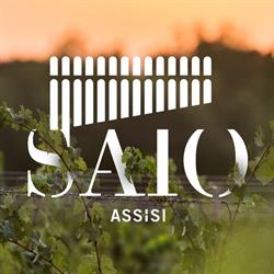 Cantina SAIO Assisi Degustazione vino, olio e prodotti tipici, orari di apertura