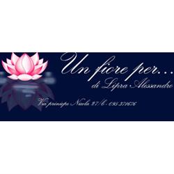 Un fiore per... di Lipra Alessandro, Catania orari di apertura