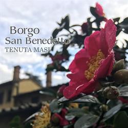 Borgo San Benedetto, Montaione orari di apertura