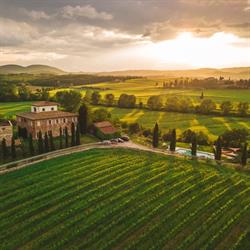 Siena House, Tuscany, Italy, Torrita di Siena orari di apertura