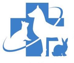 Ambulatorio Veterinario Andromeda di Antonio Galdo, Avellino orari di apertura