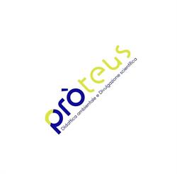 Proteus, Como orari di apertura