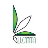 Associazione Lucanapa, Potenza orari di apertura