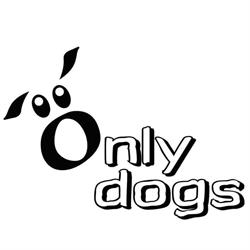 Only Dogs asd, Terni orari di apertura