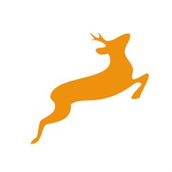 Capriolo Italia Bikes, Codevigo orari di apertura
