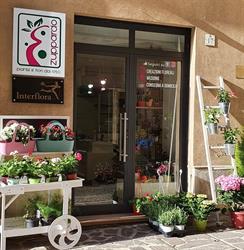 Zuppardo Piante e Fiori, Agrigento orari di apertura