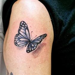 Ladytattoo, Novara orari di apertura