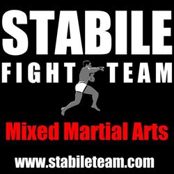Stabile Fight Team, Gessate orari di apertura