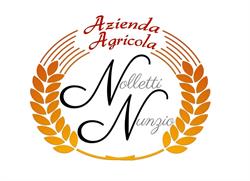Azienda Agricola Nolletti Nunzio, Collepietro orari di apertura