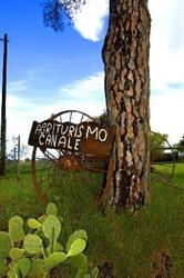 Agriturismo Canale, Parco Naturale della Maremma Grosseto, Alberese - Orari di apertura