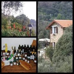 Agriturismo U Baregu, Diano San Pietro orari di apertura