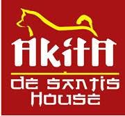 Akita De Santis House, Campobasso orari di apertura