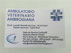 Ambulatorio Veterinario Ambrogiana, Montelupo Fiorentino orari di apertura