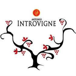 Società Agricola Antonio Introvigne, Fontanelle orari di apertura