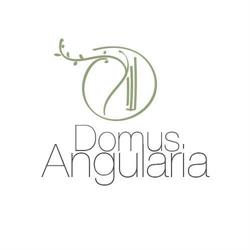 Domus Angularia B&B Anguillara Sabazia, orari di apertura