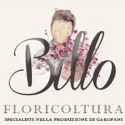 Floricoltura Billo Federico, Merlara orari di apertura