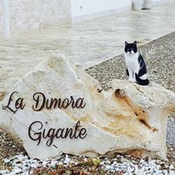 La Dimora Gigante, Castellana Grotte orari di apertura
