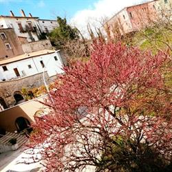 La Terrazza Caffè, Baselice orari di apertura