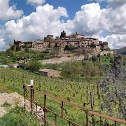 Tuscan Sunshine Tours, Firenze orari di apertura