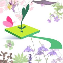 Un quadrato di giardino, Podenzano orari di apertura
