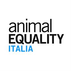 Animal Equality Italia, Milano orari di apertura