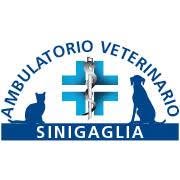 Ambulatorio Veterinario Sinigaglia, Milano orari di apertura