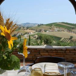 Fattoria Marchetti, Montalto delle Marche orari di apertura
