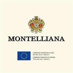Cantina Montelliana e dei Colli Asolani, Montebelluna orari di apertura
