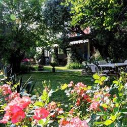 Agriturismo Divin Amore, San Costanzo orari di apertura