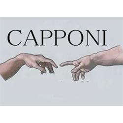 Onoranze Funebri Amiconi Capponi, Ancarano orari di apertura