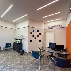 SOLUZIONE CASA, Cusano Milanino orari di apertura