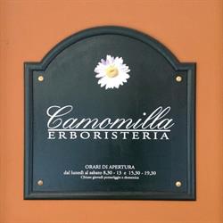 Camomilla Srl, Castel San Pietro Terme orari di apertura