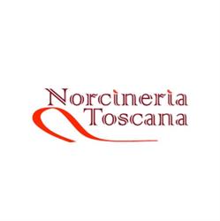 Norcineria Toscana s.r.l, Foiano della Chiana orari di apertura