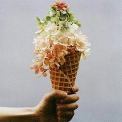 Gelateria Monginevro, Torino orari di apertura