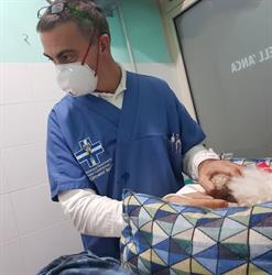 Ambulatorio Veterinario, Roma orari di apertura