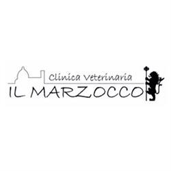 Clinica Veterinaria Il Marzocco, Firenze orari di apertura