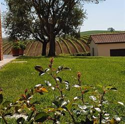 Agriturismo Severini, Magliano in Toscana orari di apertura