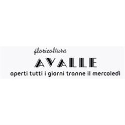 Avalle Floricoltura - Vivaio, Collegno orari di apertura