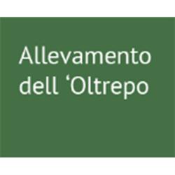 Allevamento dell'Oltrepo', Bressana Bottarone orari di apertura