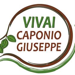 Vivai Caponio Giuseppe, Francavilla Fontana orari di apertura