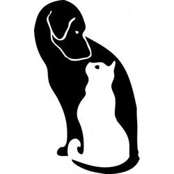 Clinica Veterinaria "Città Di Suzzara" Dir.San Dott. Gualandi Paolo, orari di apertura