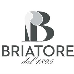 Briatore 1895, Mondovì orari di apertura